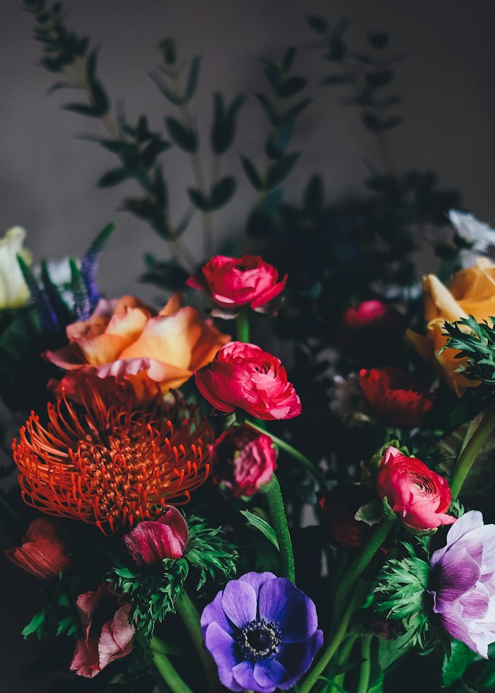 Moody arrangement of ranunculus and protea