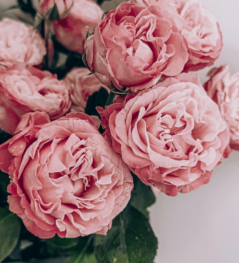 Pink peony bouquet